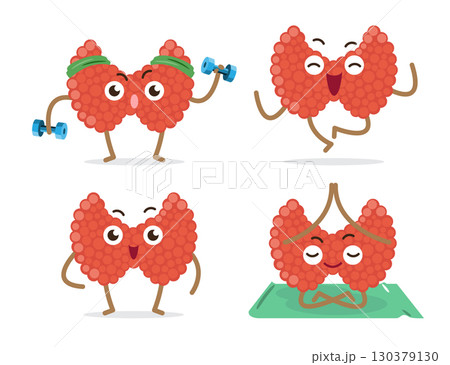 Healthy thyroid gland cartoon characters collection on isolated white background . Vector . 130379130