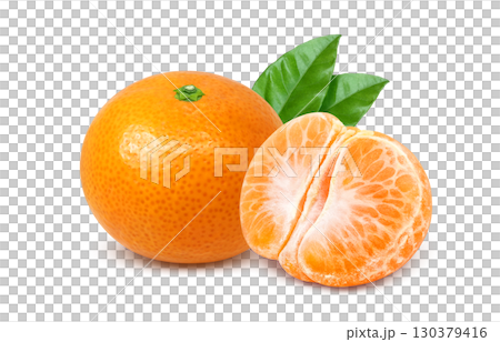 みかん イラスト リアル ミカン みかん イラスト リアル ミカン 130379416
