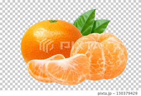 みかん イラスト リアル ミカン 130379429