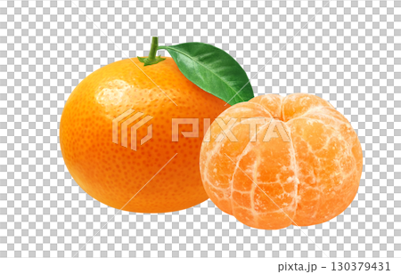橘子插畫逼真的橘子 130379431
