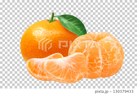 Mandarin orange illustration realistic mandarin orange 130379433