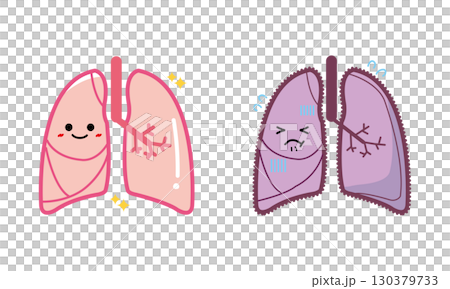 人の臓器キャラクター　健康な肺と不健康な肺　セット 130379733