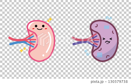 Human organ character healthy and unhealthy spleen set 130379738