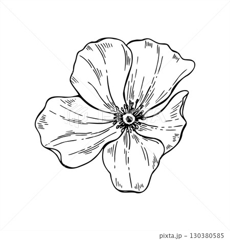 Monochrome minimalistic blooming flower without stem vector illustration. Top view. Poppy or rosehip flower head outline drawing. Black etching of wildflower mallow for invitation, greeting cards Monochrome minimalistic blooming flower without stem vector illustration. Top view. Poppy or rosehip flower head outline drawing. Black etching of wildflower mallow for invitation, greeting cards 130380585