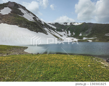 Blooming alpine flowers on the shores of a lake 130381825