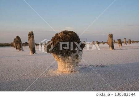 The pillars are the remains of platforms on which salt was dried at sunset. Lake Baskunchak. Astrakhan region, Russia 130382544