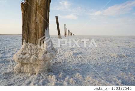 A weathered tree trunk stands in a salt zone surrounded by a white salt crust. The landscape is barren and unforgettable under the glow of the sky 130382546
