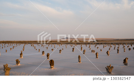 Horizontal landscape with salt pillars of Lake Baskunchak and Mount Bogdo in the background at sunset. Astrakhan region, Russia 130382547