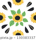 Seamless pattern with sunflower, green leaves and black seeds 130383337