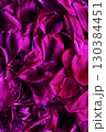 Bright pink peony petals background. Macro photography 130384451