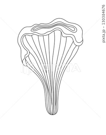 Chanterelle mushroom forest edible fungi hand drawn doodle outline illustration, Halloween holiday, autumn simple seasonal image for botanical, culinary, organic food, nature themes design Chanterelle mushroom forest edible fungi hand drawn doodle outline illustration, Halloween holiday, autumn simple seasonal image for botanical, culinary, organic food, nature themes design 130384676