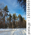 A road with trees in the background 130384969