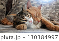 Two cats are laying on a bed, one is orange and the other is gray 130384997