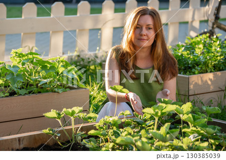 Woman in a green linen top tends to strawberry plants in a wooden raised garden bed, illuminated by warm sunlight Woman in a green linen top tends to strawberry plants in a wooden raised garden bed, illuminated by warm sunlight 130385039