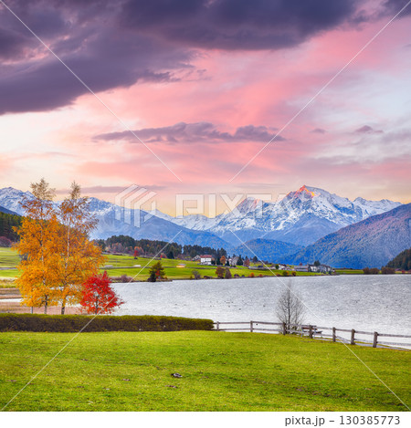 Fabulous autumn view of Haidersee (Lago della Muta) lake with Ortler peak on background. 130385773