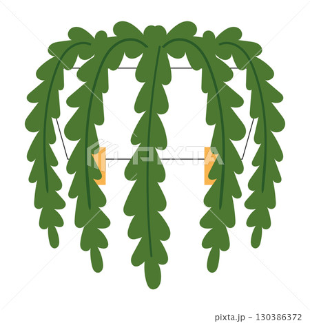 Hanging plant with leafy green foliage Vector Hanging plant with leafy green foliage Vector 130386372