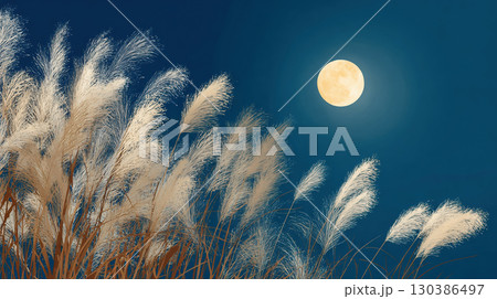 月夜に揺れるススキ 月夜に揺れるススキ 130386497