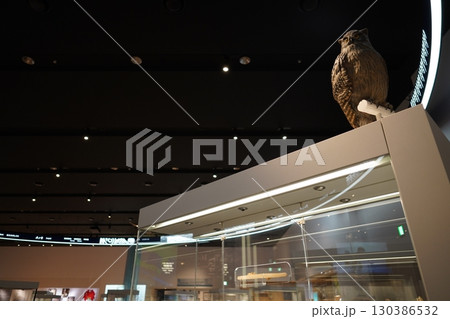 ウポポイ 民族共生象徴空間の風景 ウポポイ 民族共生象徴空間の風景 130386532