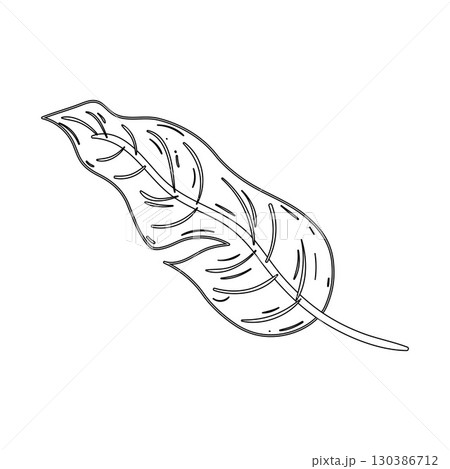 Black outline tropical leaf with detailed veins Vector 130386712