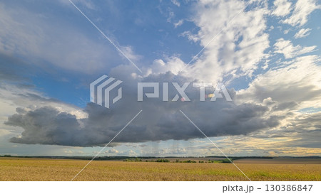 Dynamic, cloudy skies hover over golden fields, creating a captivating scene for all 130386847