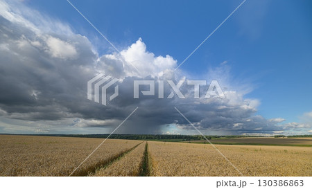 A Dramatic Cloud Formation Looming Over Expansive wheat Fields Creates a Striking Sight A Dramatic Cloud Formation Looming Over Expansive wheat Fields Creates a Striking Sight 130386863