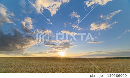 A breathtaking sunset casts its enchanting glow over a picturesque wheat field landscape A breathtaking sunset casts its enchanting glow over a picturesque wheat field landscape 130386900