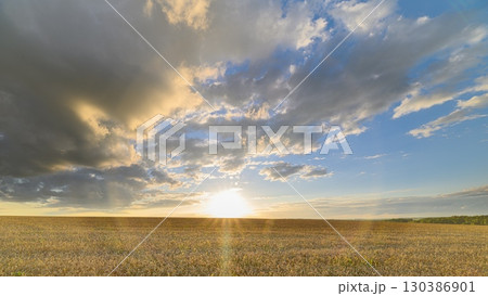 Experience the stunning sunrise that illuminates a wheat field filled with colorful flowers Experience the stunning sunrise that illuminates a wheat field filled with colorful flowers 130386901