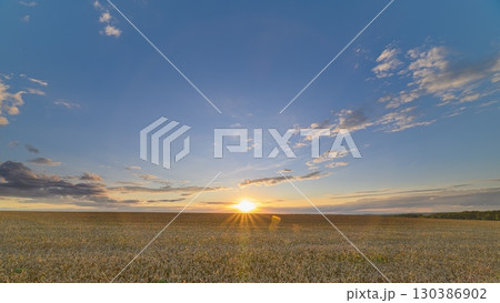 A Serene and Beautiful Sunset Over a Lush wheat Field Captured in Panoramic View A Serene and Beautiful Sunset Over a Lush wheat Field Captured in Panoramic View 130386902