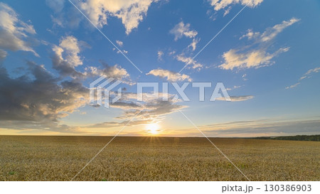 A Beautiful Serene Sunset Painting the Horizon Over a Vast wheat Field in Tranquil Atmosphere 130386903