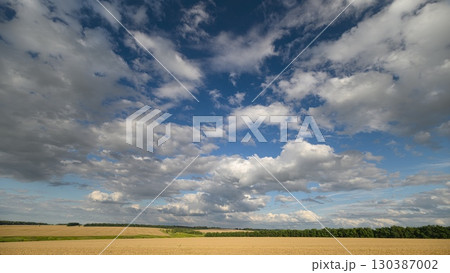 A Stunningly Beautiful Cloudy Sky Enveloping the Lush Golden Fields Stretching into the Distance 130387002