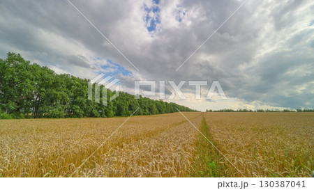 A scenic view of lush green fields under cloudy skies, ideal for photography enthusiasts A scenic view of lush green fields under cloudy skies, ideal for photography enthusiasts 130387041