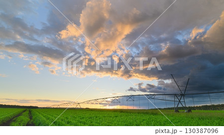 A breathtaking sunset over vast Green Fields that feature a welldesigned Irrigation System A breathtaking sunset over vast Green Fields that feature a welldesigned Irrigation System 130387096