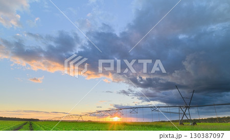 A stunning sunset paints the agricultural fields with vibrant colors beneath dramatic clouds 130387097