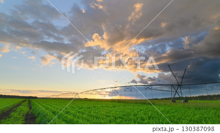 Lush Green Fields with an irrigation system and Dramatic Skies Showcasing a Beautiful Sunset During Evening Time Lush Green Fields with an irrigation system and Dramatic Skies Showcasing a Beautiful Sunset During Evening Time 130387098