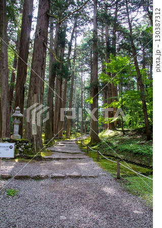 平泉寺白山神社 平泉寺白山神社 130387312