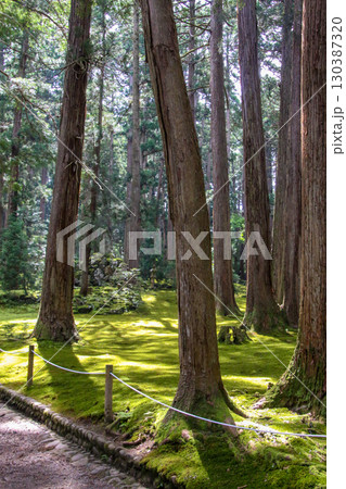 平泉寺白山神社 130387320