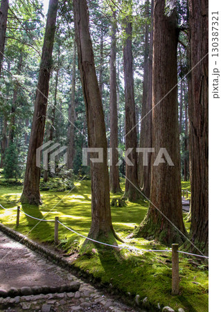 平泉寺白山神社 130387321