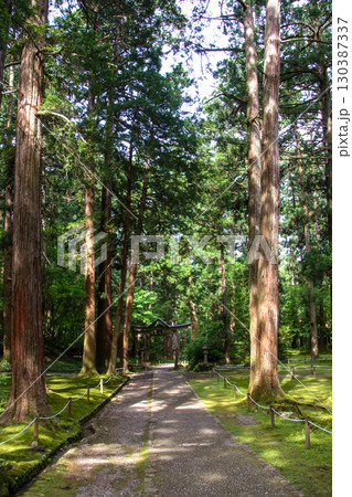 平泉寺白山神社 平泉寺白山神社 130387337