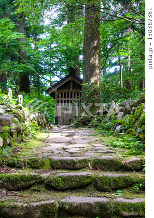 平泉寺白山神社 平泉寺白山神社 130387361