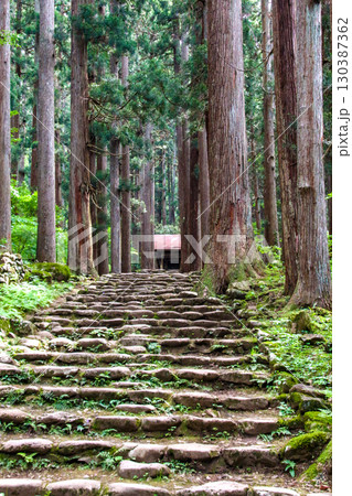 平泉寺白山神社 平泉寺白山神社 130387362