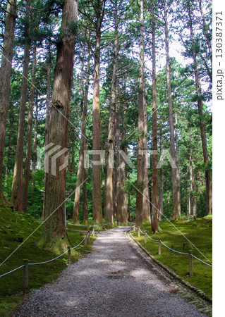 平泉寺白山神社 平泉寺白山神社 130387371