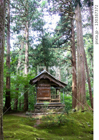 平泉寺白山神社 平泉寺白山神社 130387372