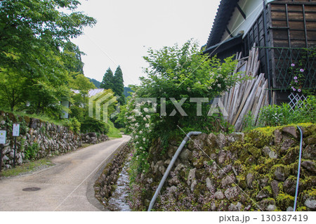 平泉寺白山神社 130387419