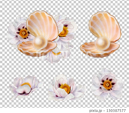 Set of seashell with pearl and white peony Set of seashell with pearl and white peony 130387577