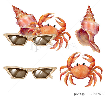 Crab shell sunglasses set 130387602