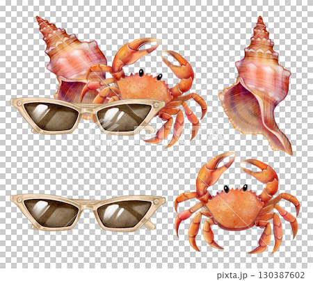 Crab shell sunglasses set 130387602
