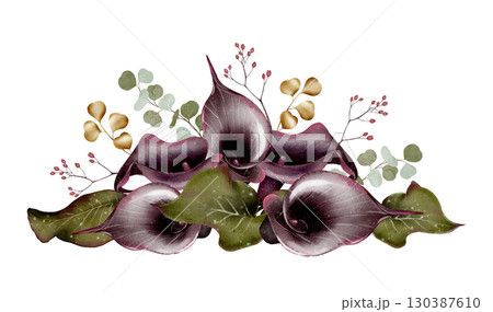 Dark calla lily floral arrangement illustration 130387610