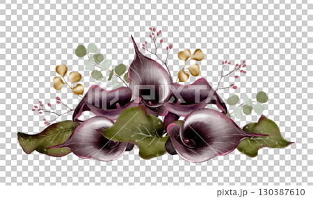 Dark calla lily floral arrangement illustration 130387610