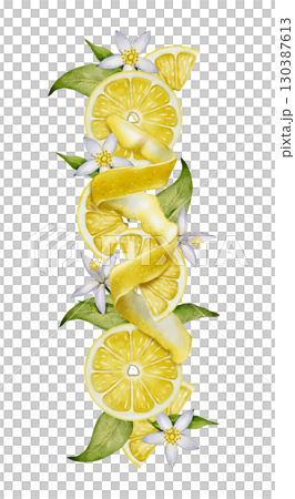 Lemon vertical composition with peel Lemon vertical composition with peel 130387613