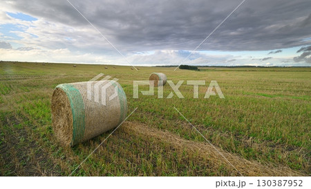 A beautiful and scenic field filled with large hay bales beneath dramatic and striking clouds A beautiful and scenic field filled with large hay bales beneath dramatic and striking clouds 130387952